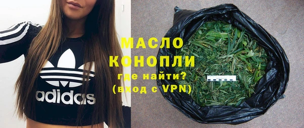 эйфоретик Каменка