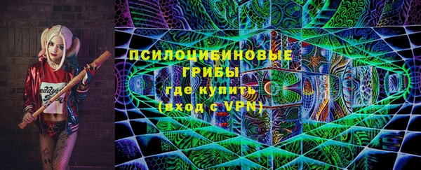 эйфоретик Каменка