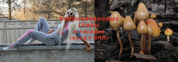 ПСИЛОЦИБИНОВЫЕ ГРИБЫ Каменск-Шахтинский