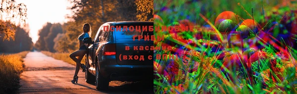 таблы Каменногорск