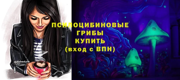 ПСИЛОЦИБИНОВЫЕ ГРИБЫ Каменск-Шахтинский