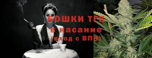 эйфоретик Каменка