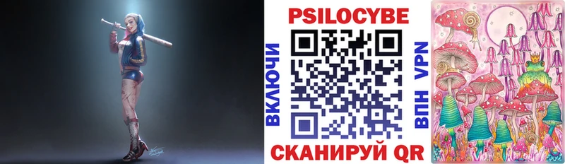 Купить где  Зея  Псилоцибиновые грибы Psilocybe 
